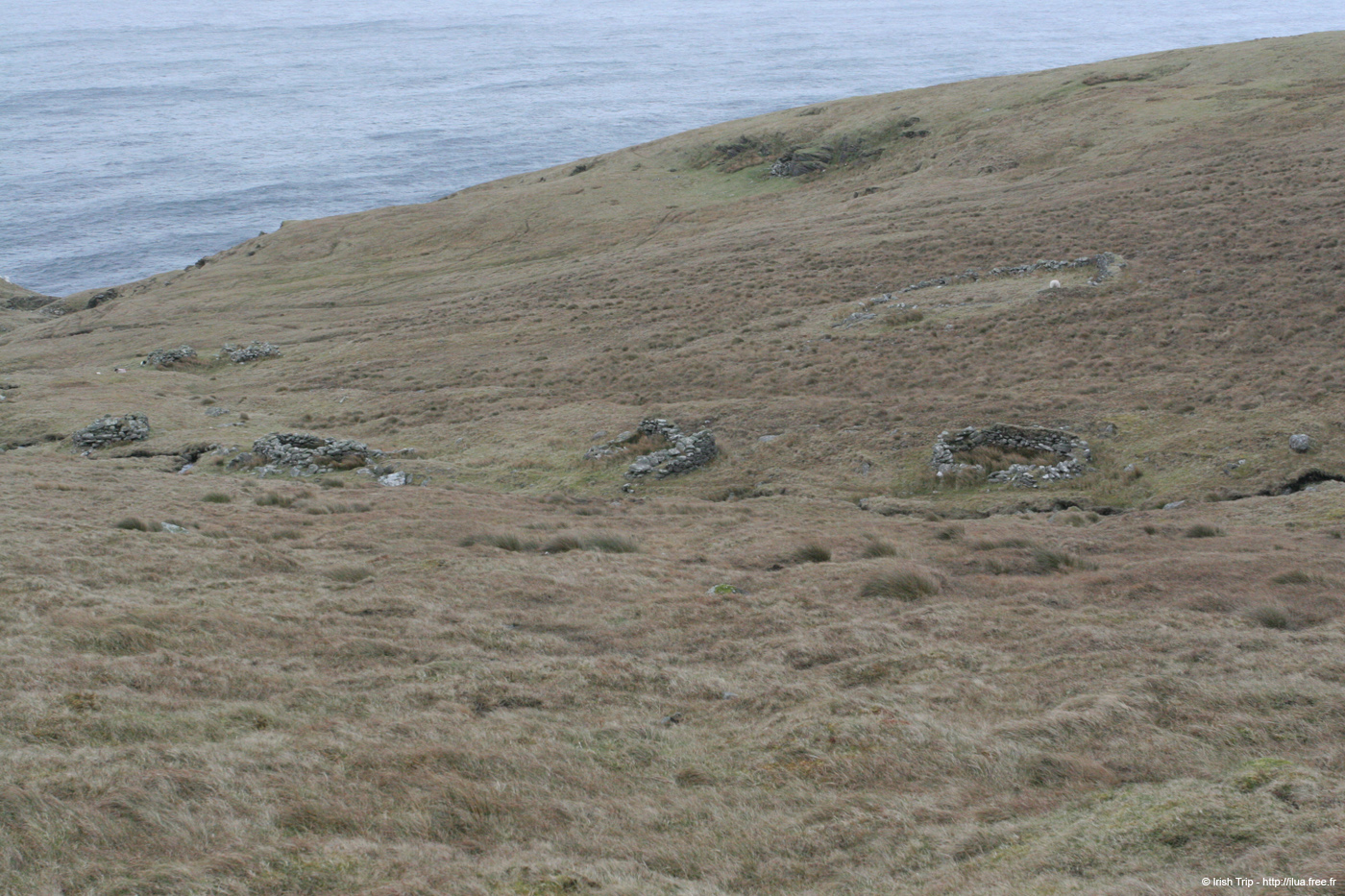 20060331_achillhead_43
