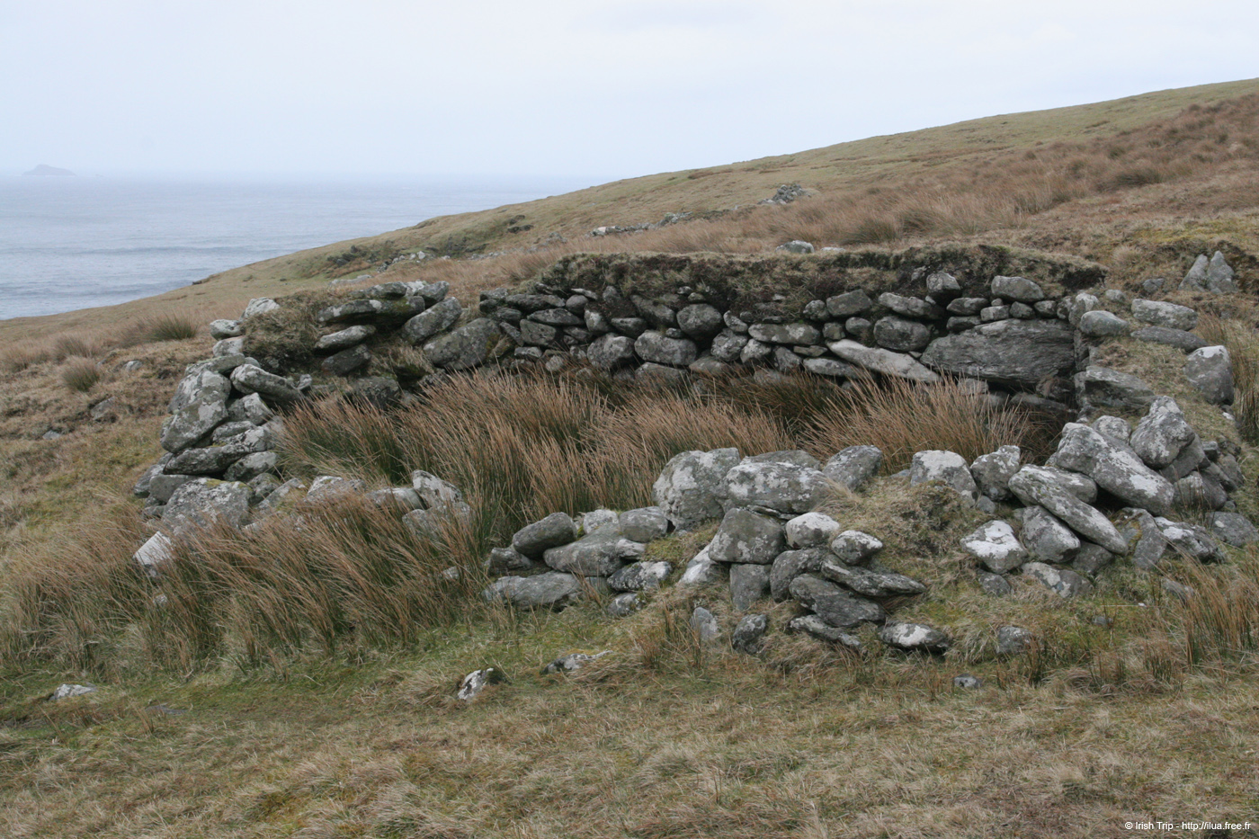 20060331_achillhead_44