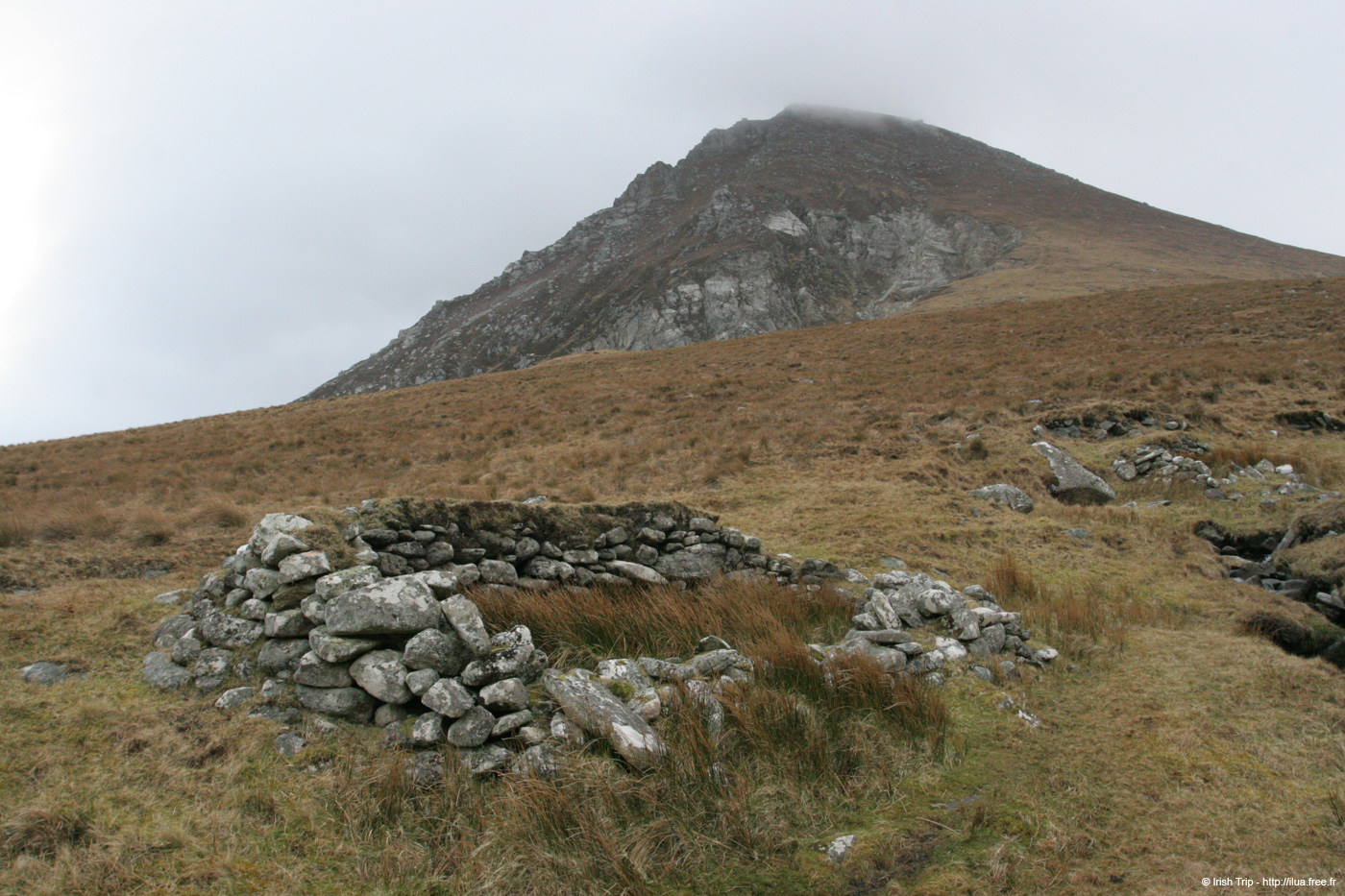 20060331_achillhead_45
