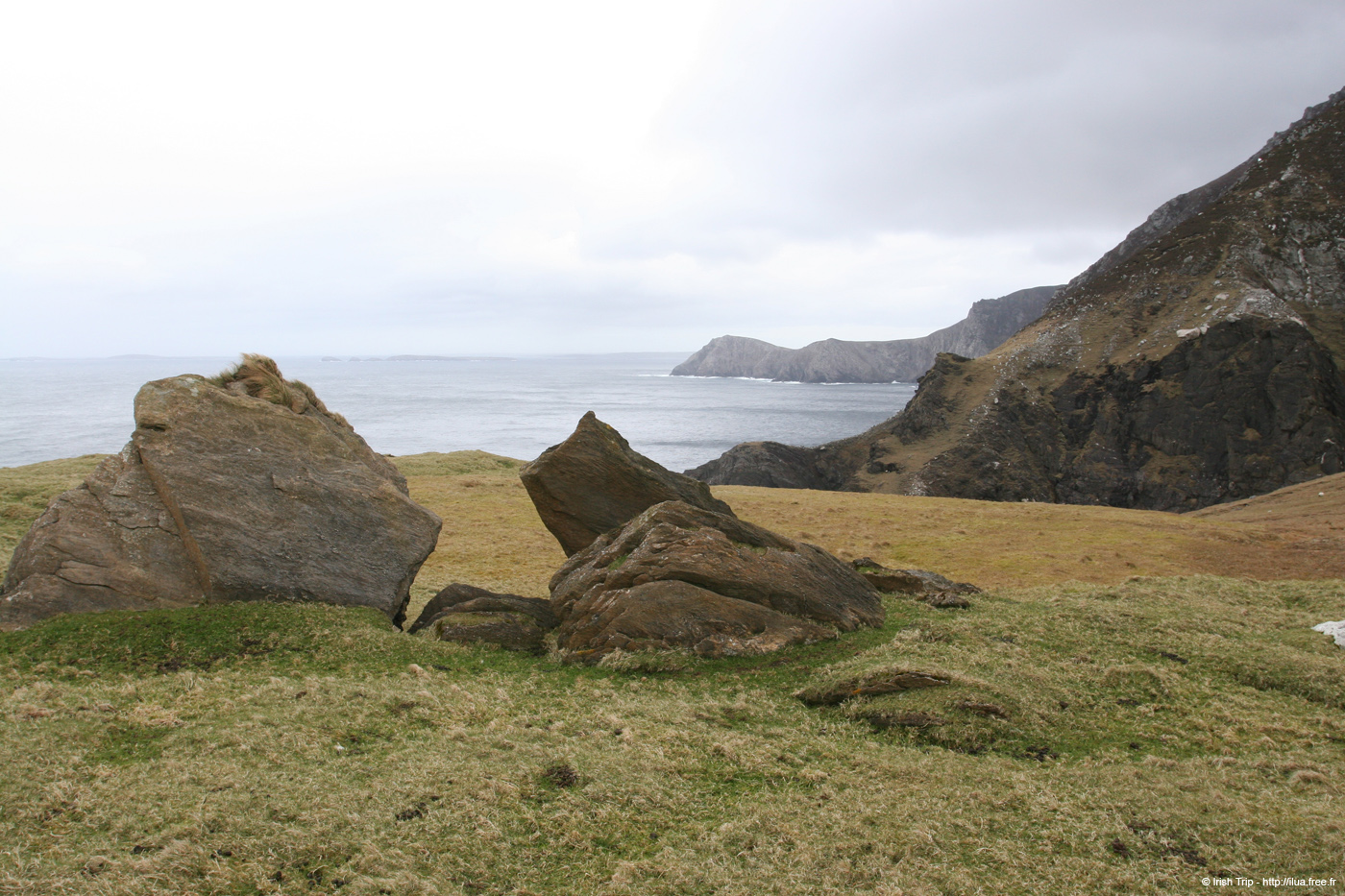 20060331_achillhead_47