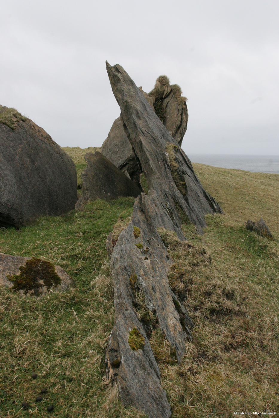 20060331_achillhead_48