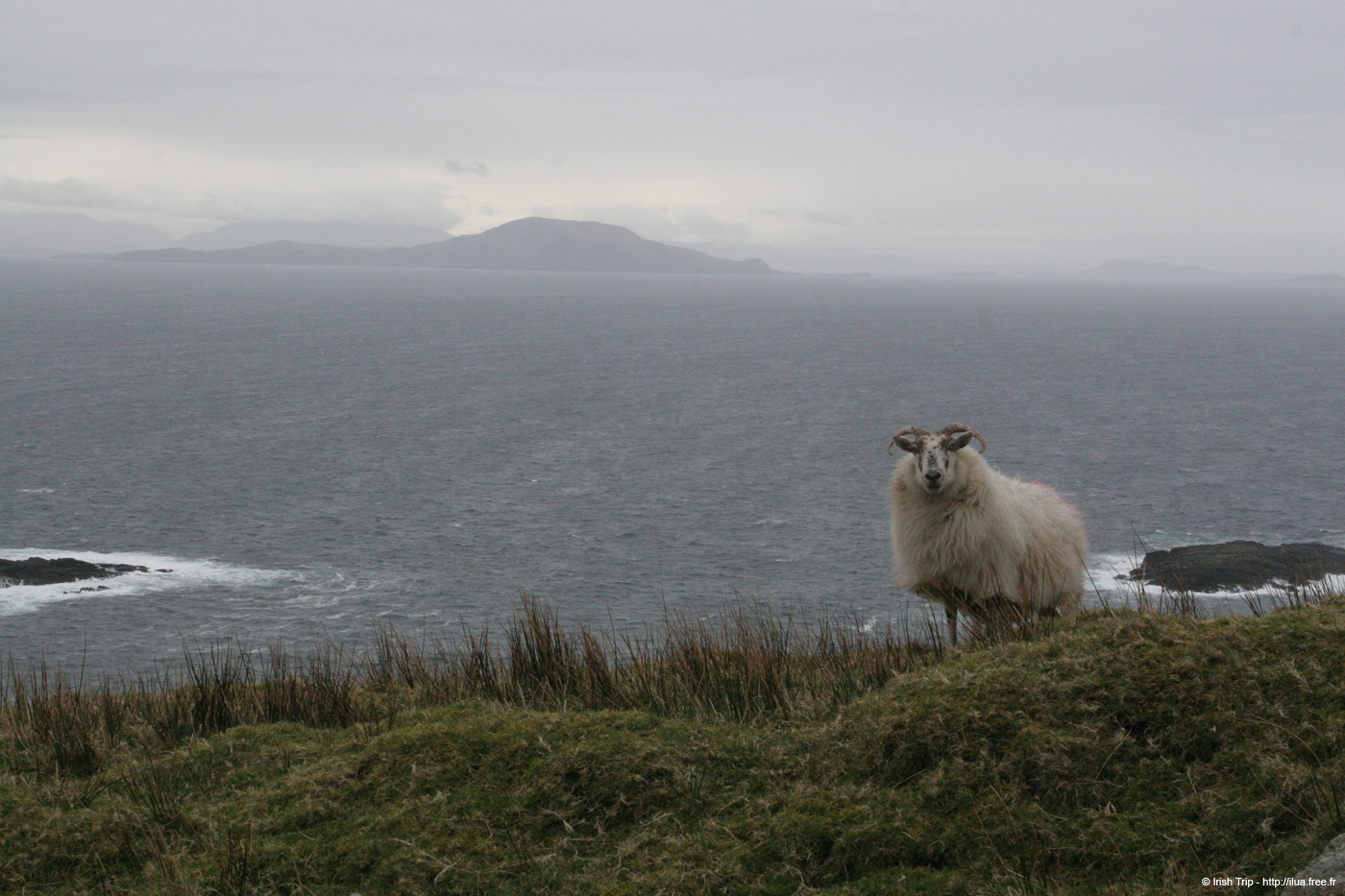 20060331_achillhead_dooaghbay_1