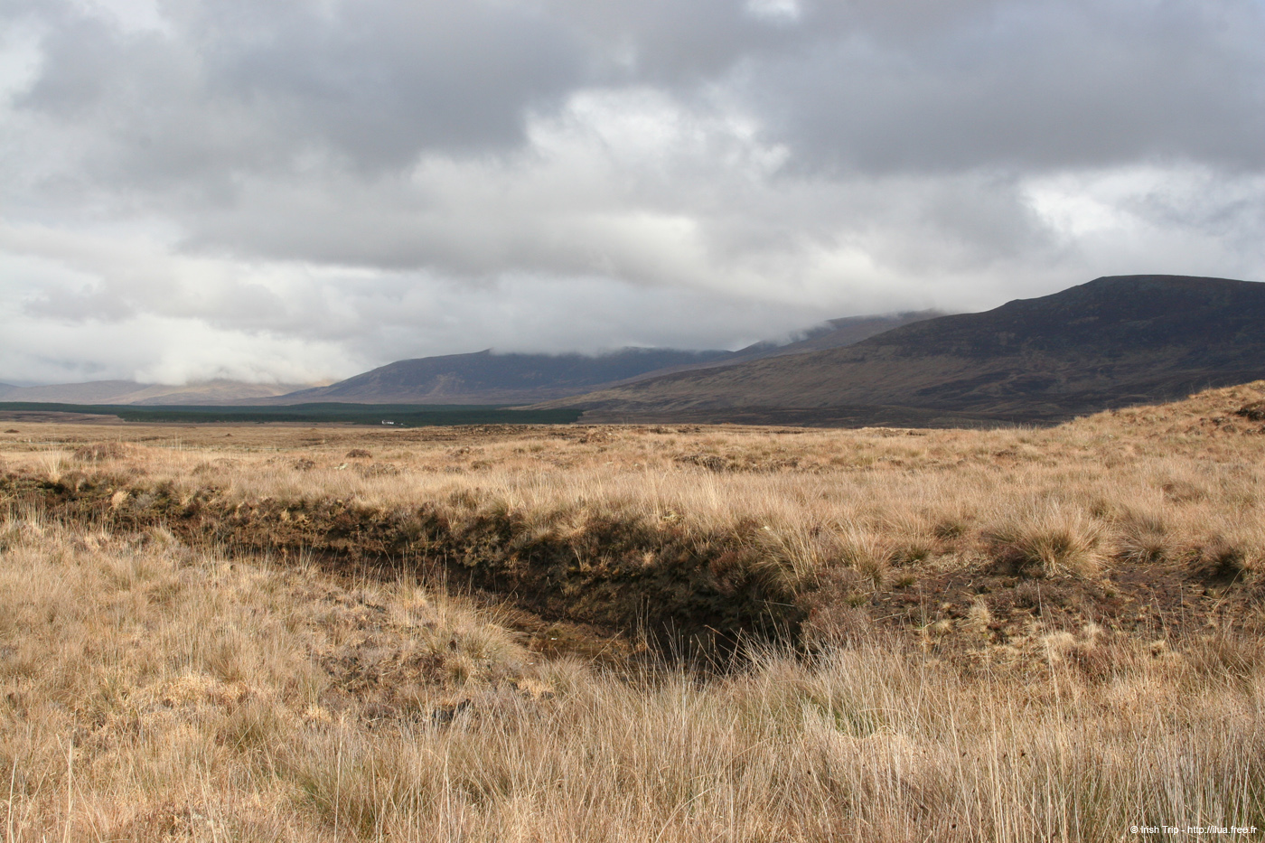 20060331_mayo_clagganmountains_1