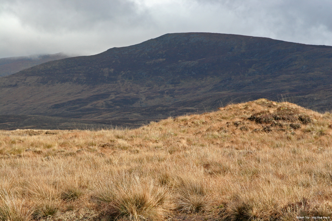 20060331_mayo_clagganmountains_2