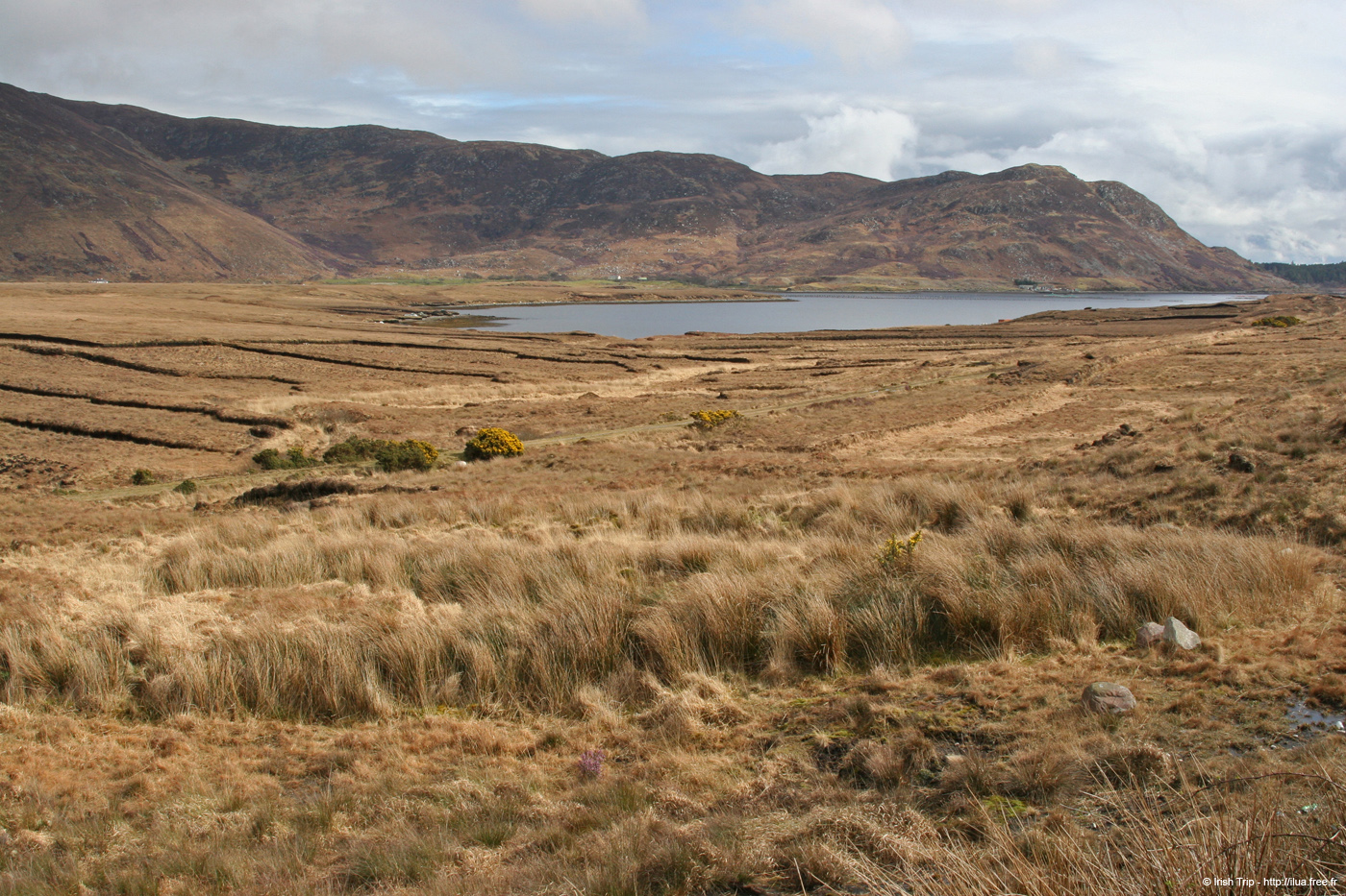 20060331_mayo_clagganmountains_3