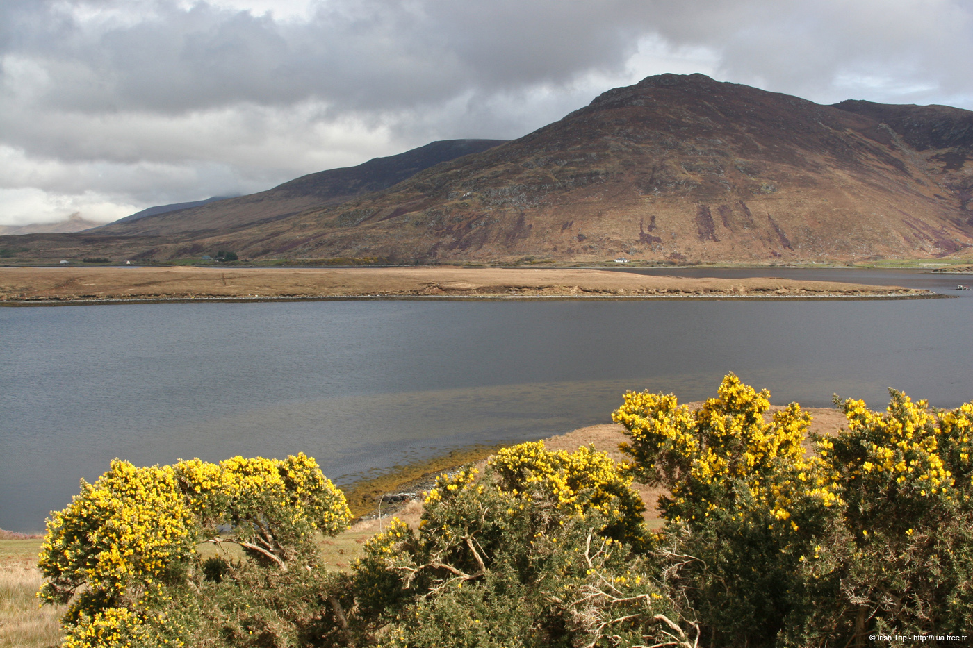20060331_mayo_clagganmountains_4