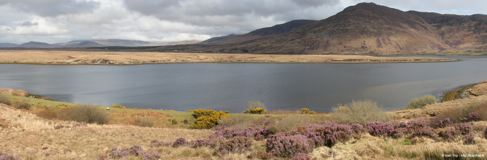 20060331_mayo_clagganmountains_pano