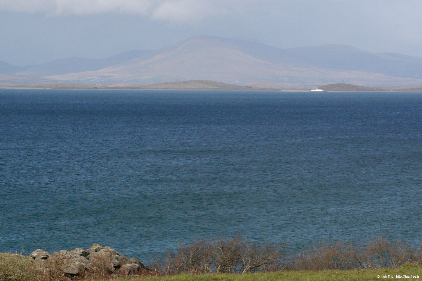 20060331_mayo_clewbayder.335_1