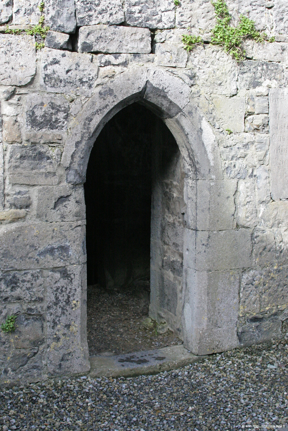 20060331_mayo_murriskabbey_3