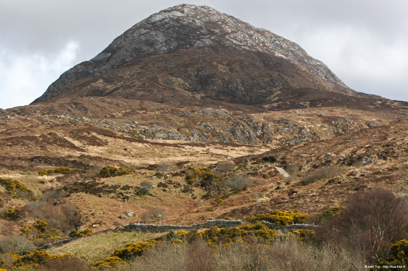 20060401_connemara_01