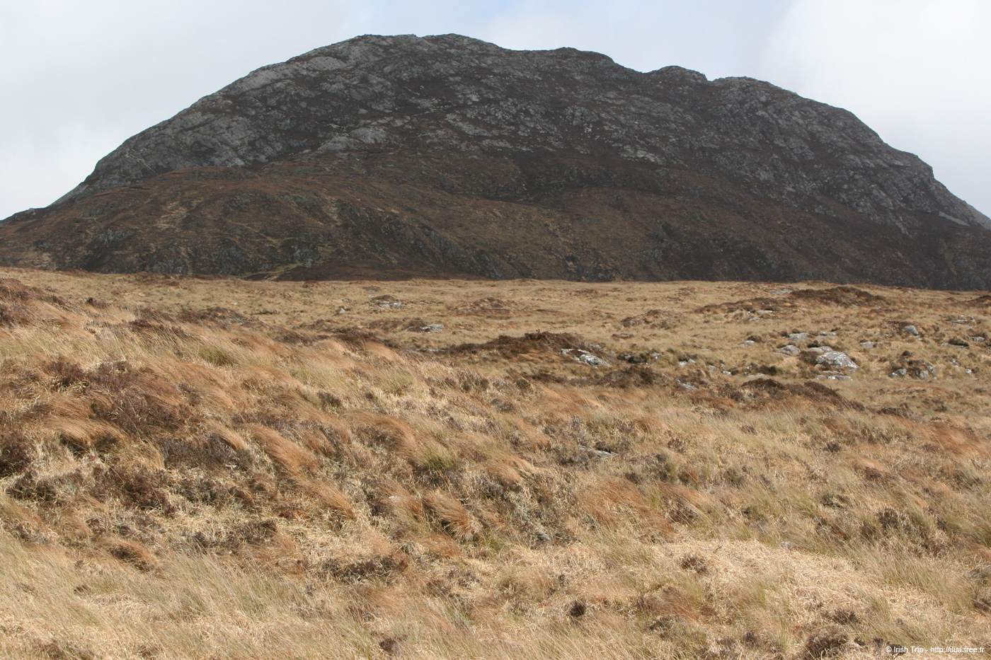 20060401_connemara_02