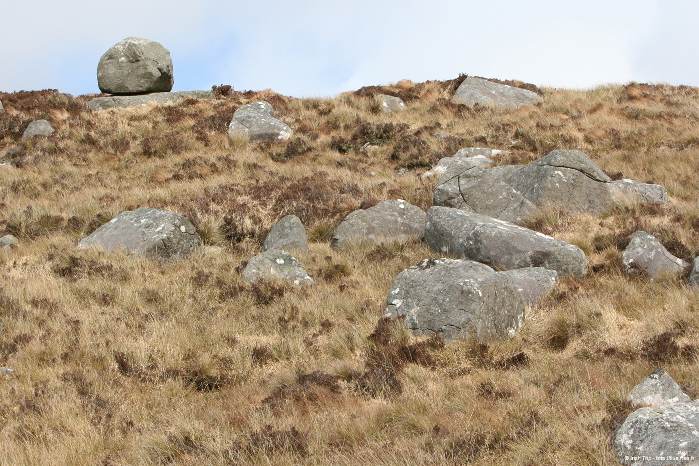 20060401_connemara_03