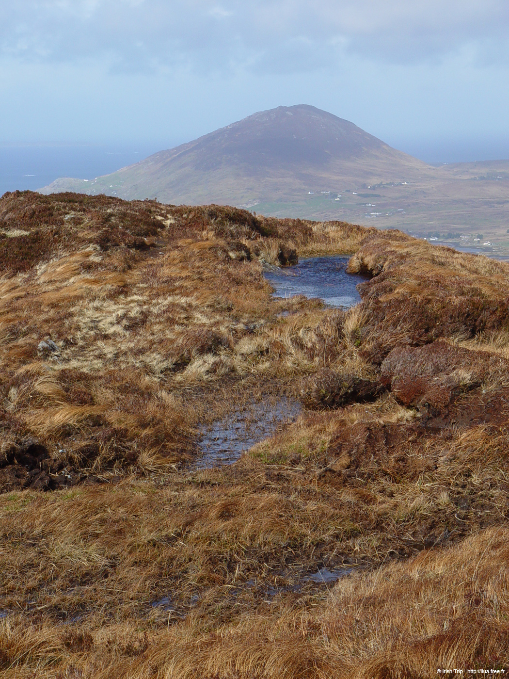 20060401_connemara_12