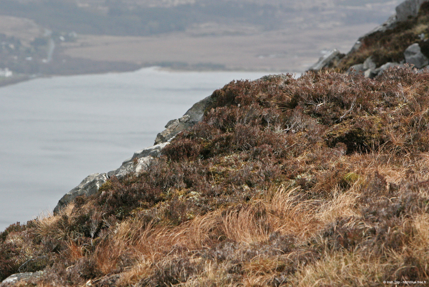 20060401_connemara_22