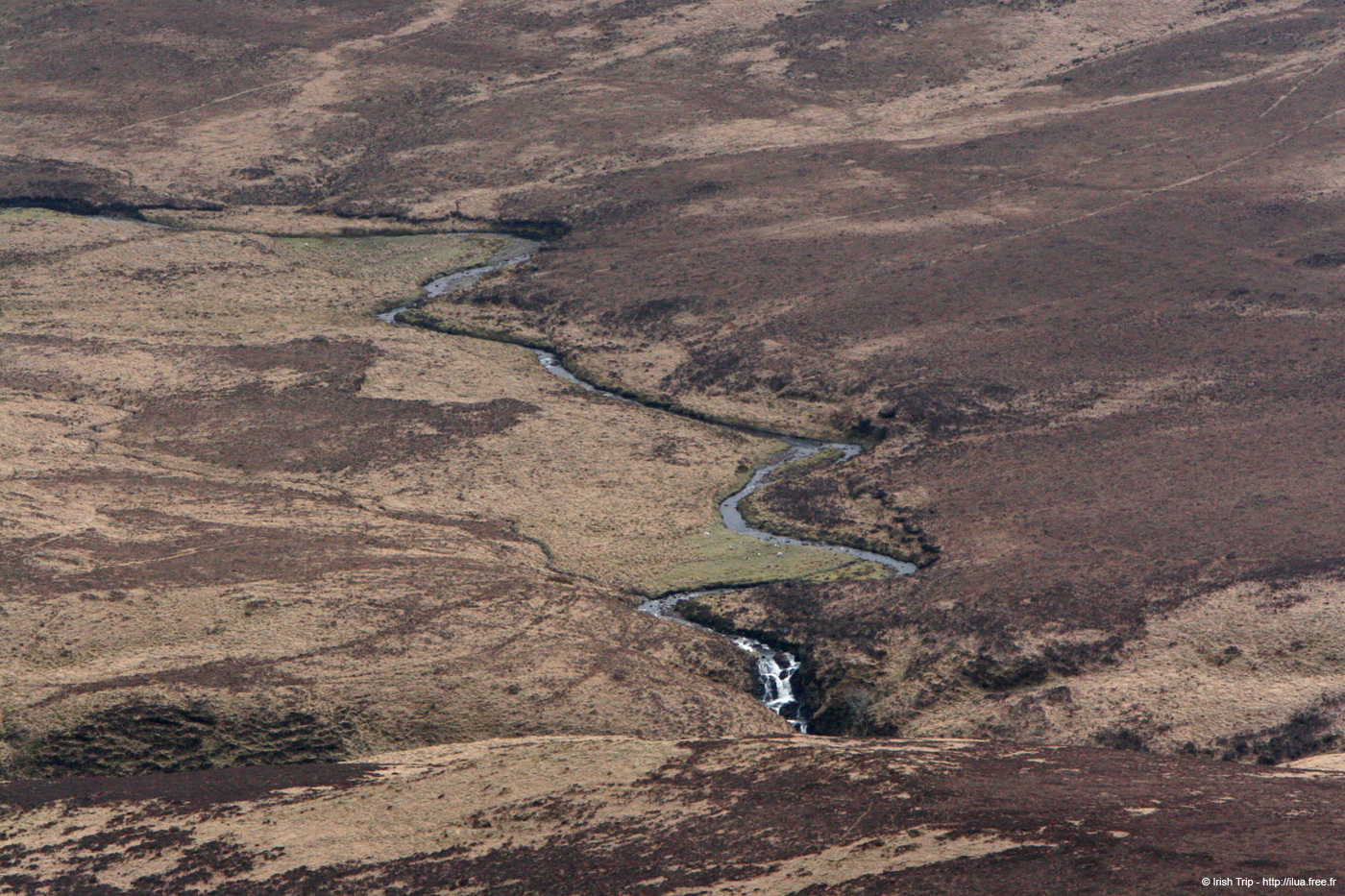 20060401_connemara_28