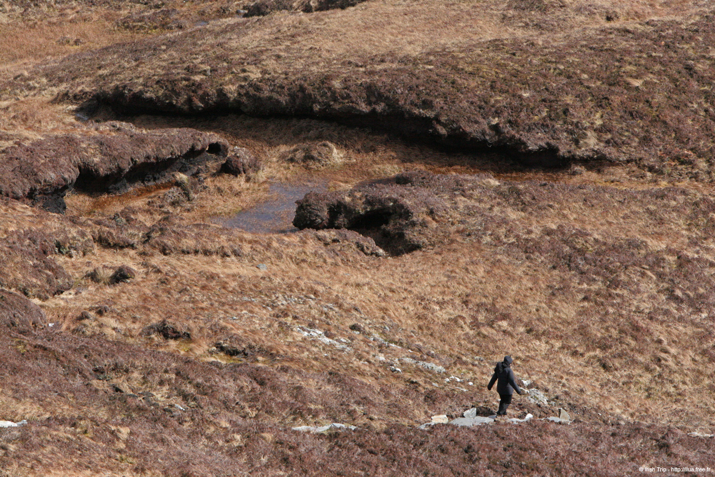 20060401_connemara_35