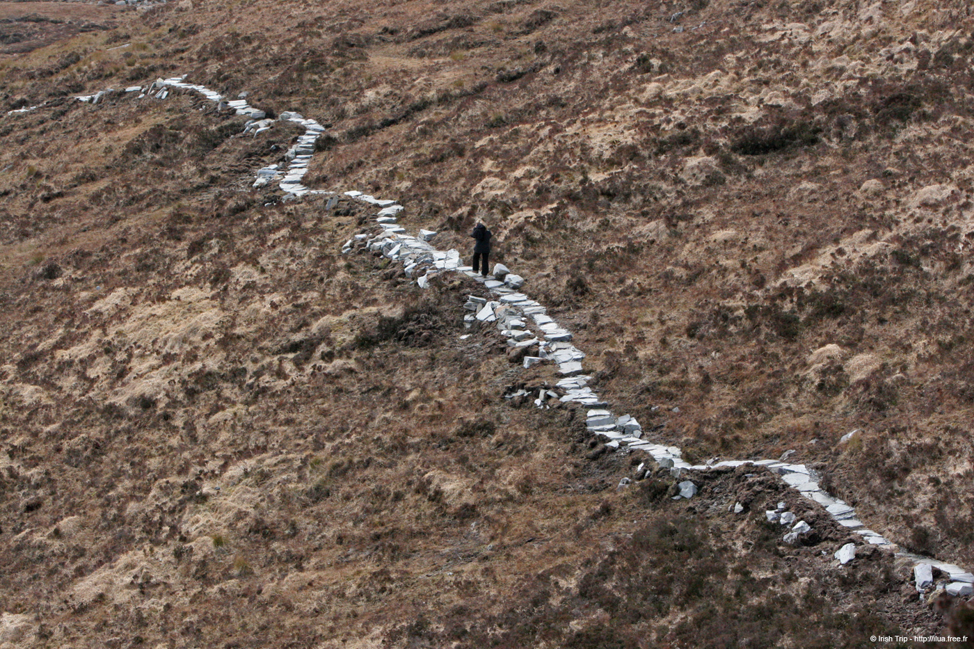 20060401_connemara_37