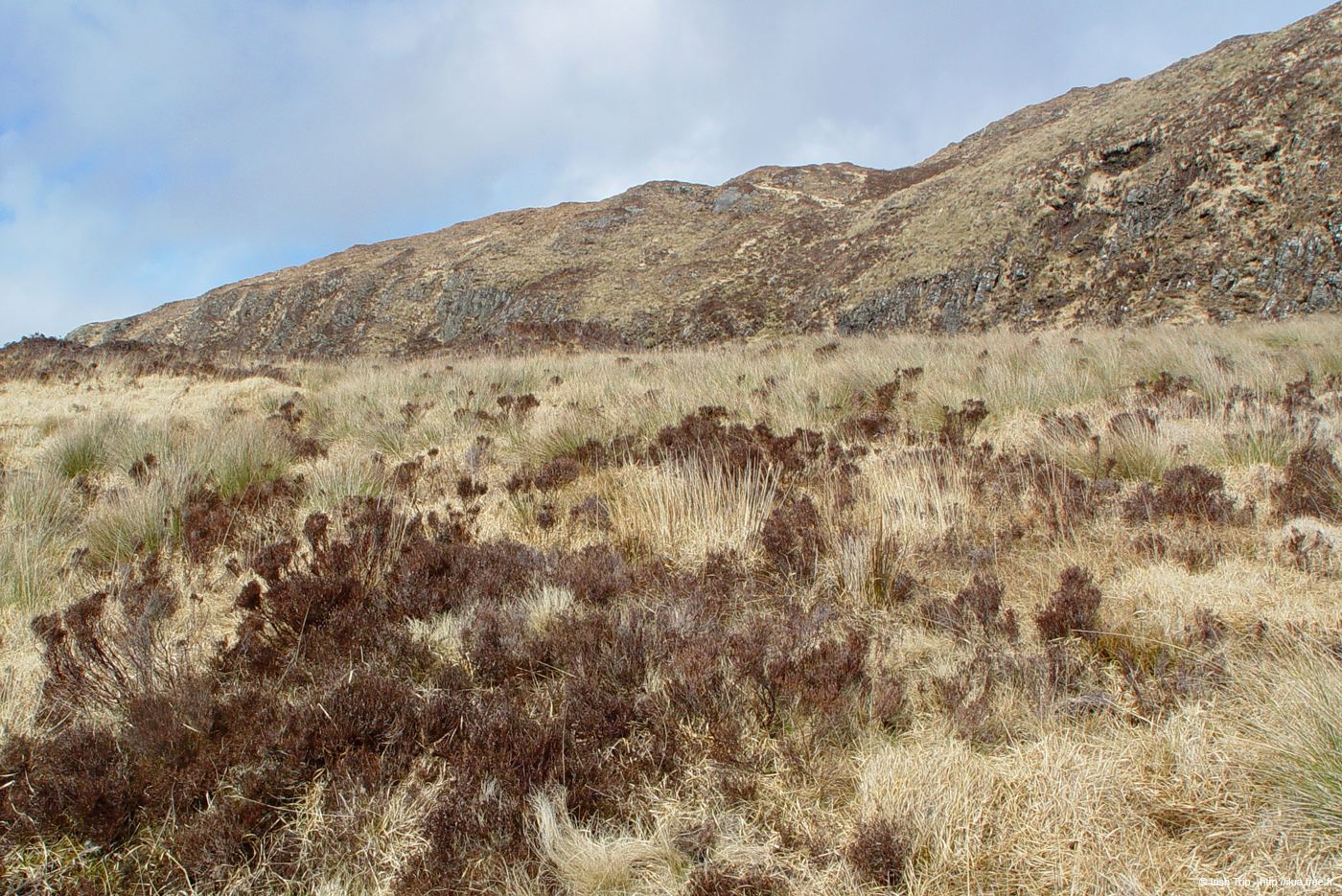 20060401_connemara_44