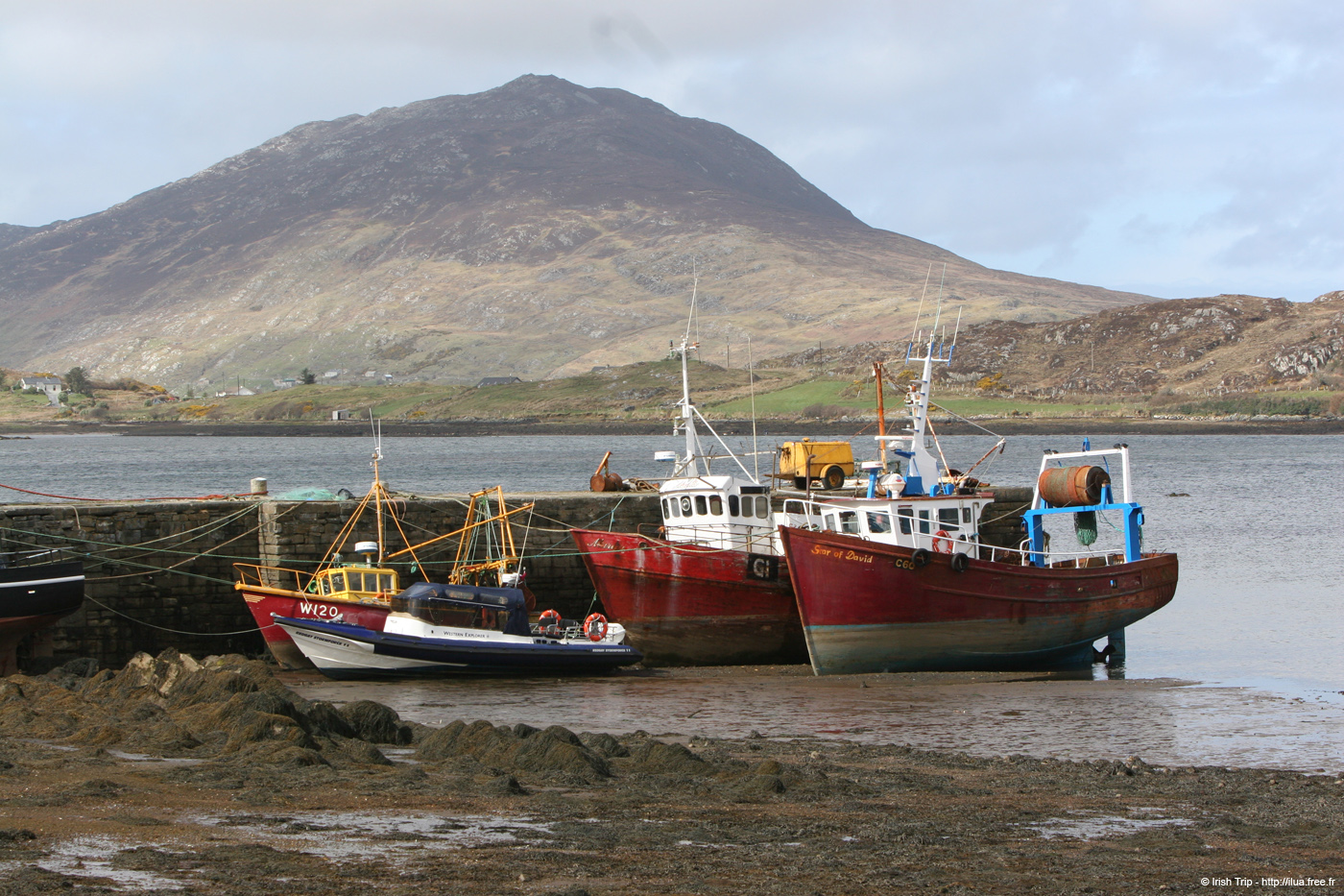 20060401_galway_ballynakillharbour_1