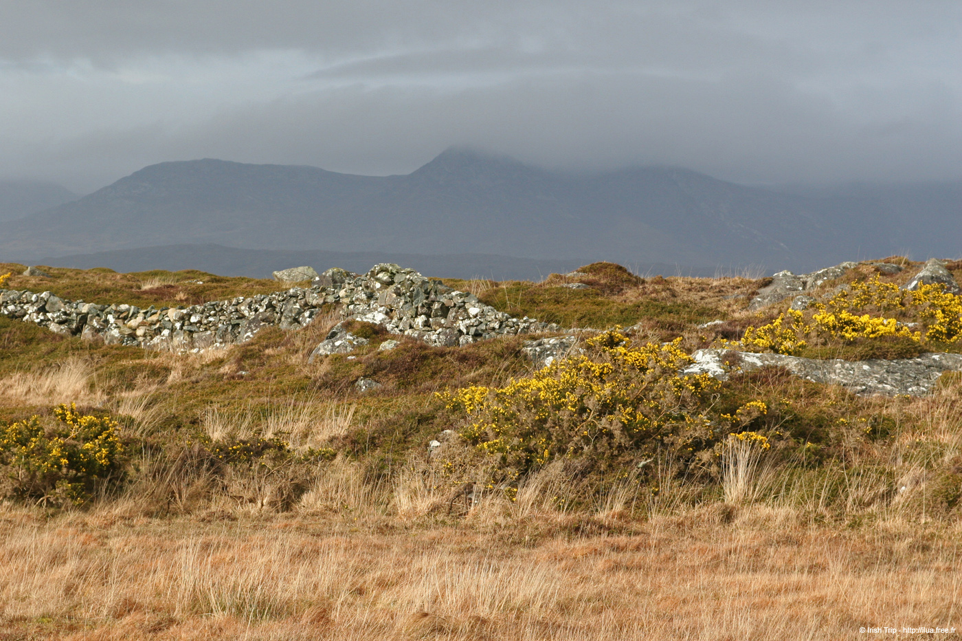 20060401_galway_carnapeninsula_3