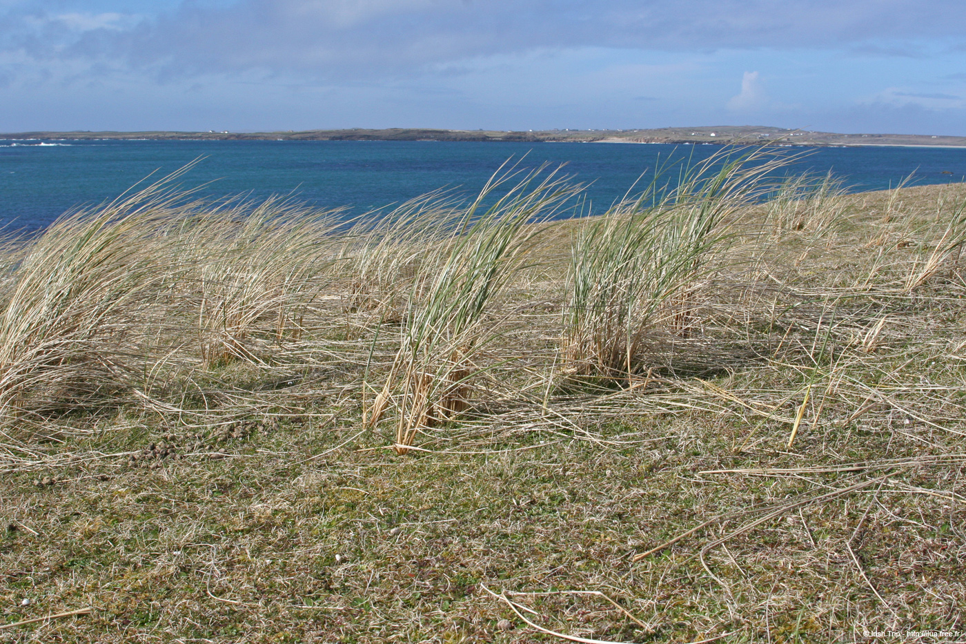 20060401_galway_clifdenpeninsula_killhead_4