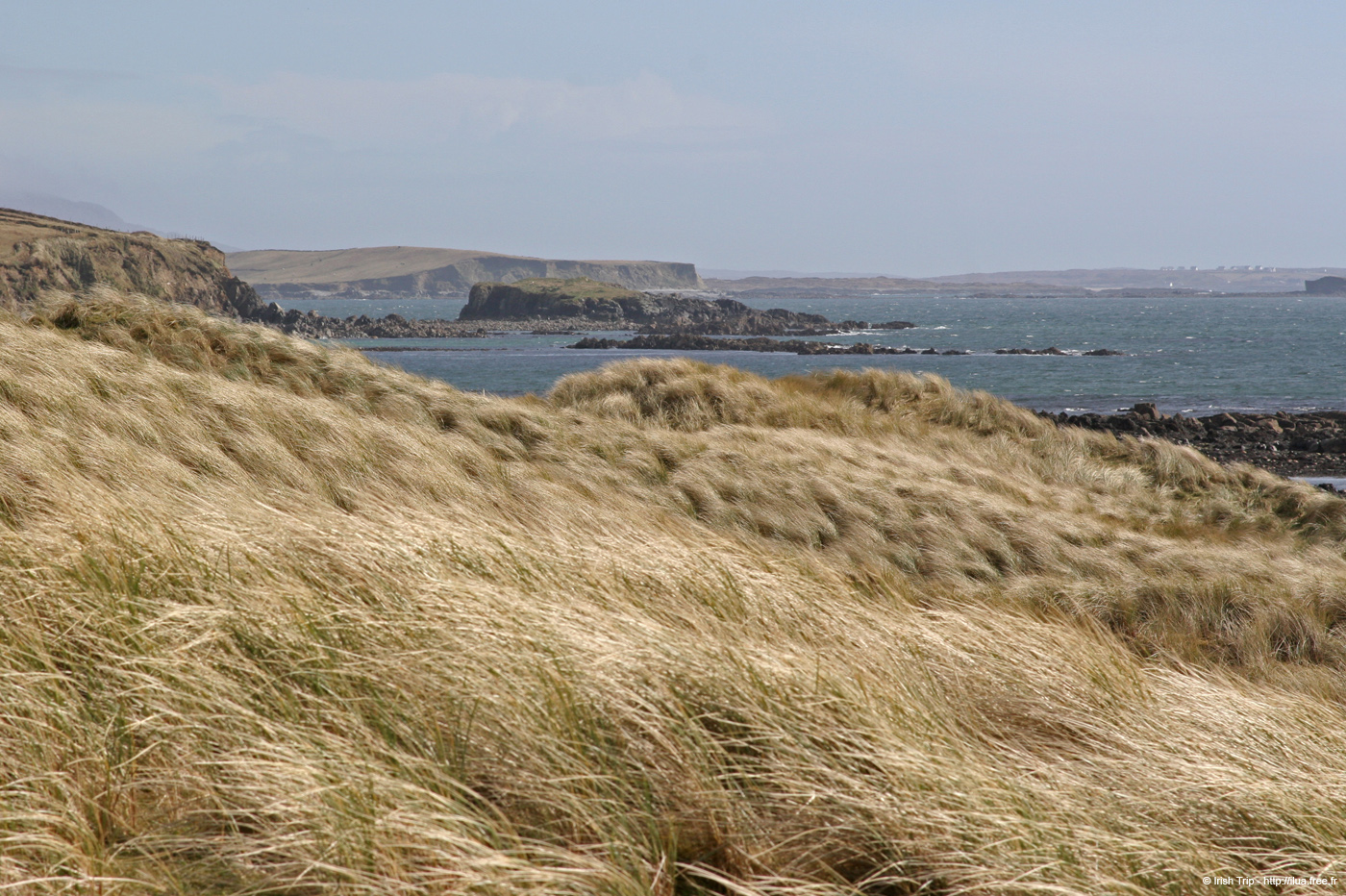 20060401_galway_clifdenpeninsula_killhead_5