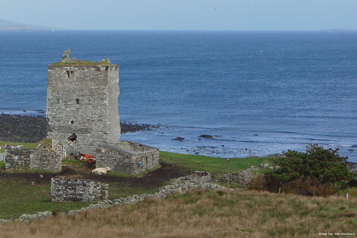 20060401_galway_rinvylecastle