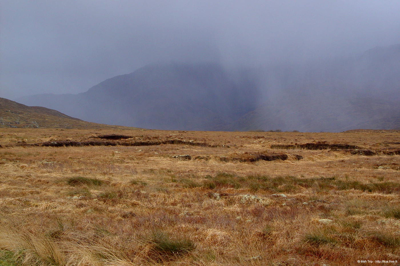 20060401_mayo_1_sheeffryhills