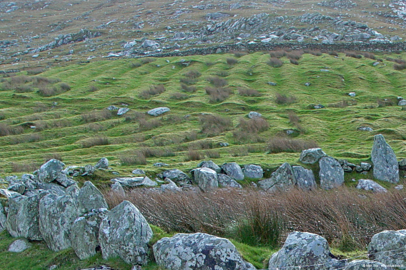 20060401_mayo_srahweemegalithictomb_alentours_1