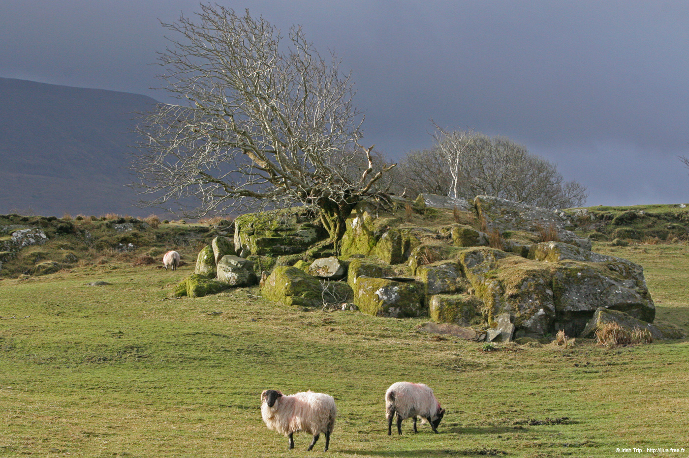 20060401_mayo_srahweemegalithictomb_alentours_3