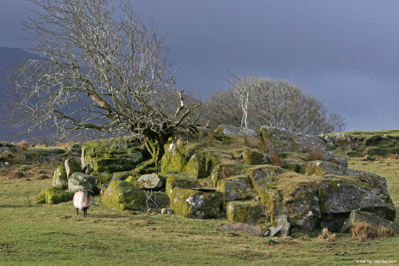 20060401_mayo_srahweemegalithictomb_alentours_4