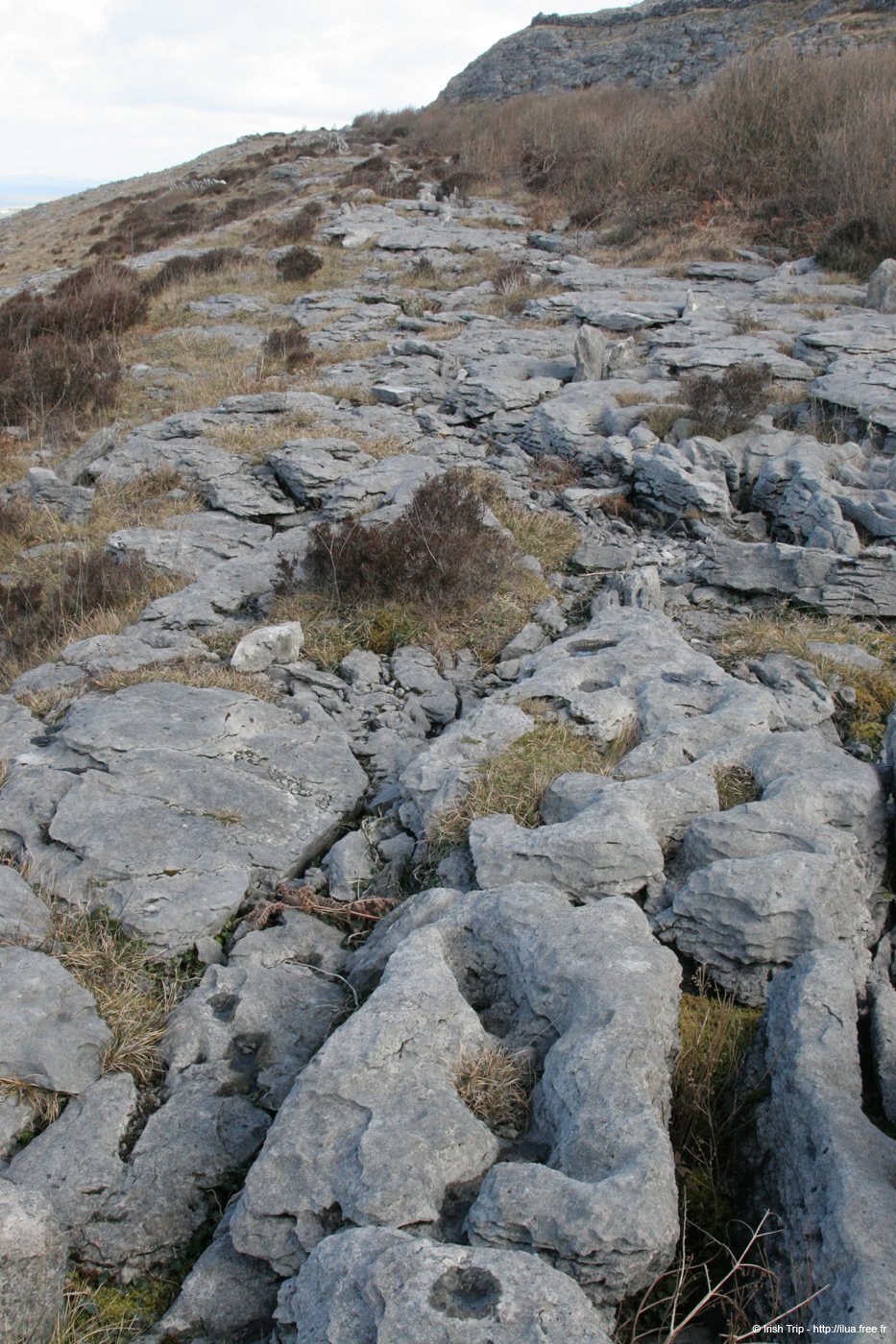 20060402_clare_burren_04