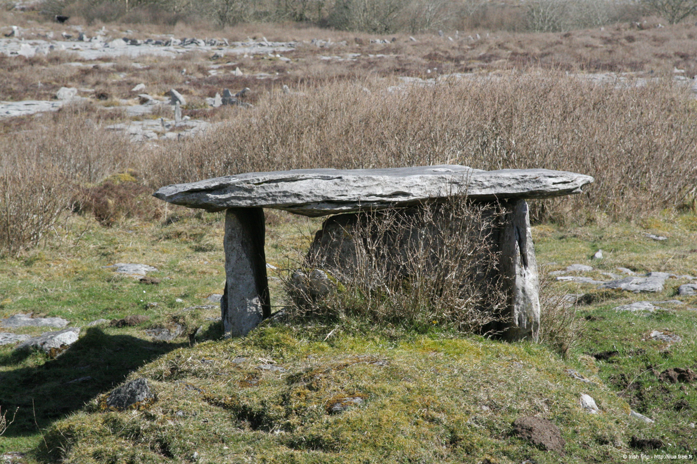 20060402_clare_gleninsheenmegalithictomb