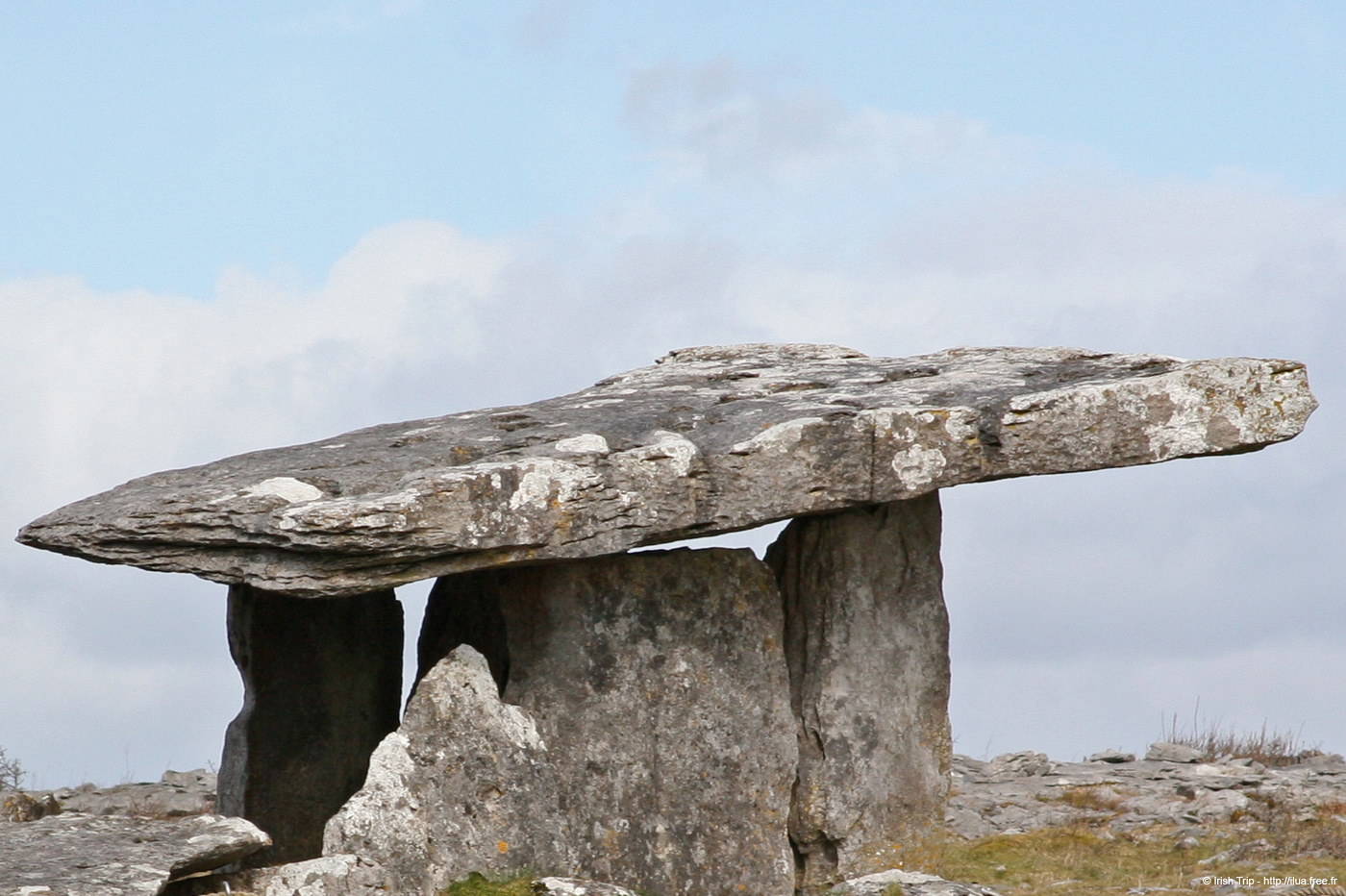 20060402_clare_poulnabronemegalithictomb_02