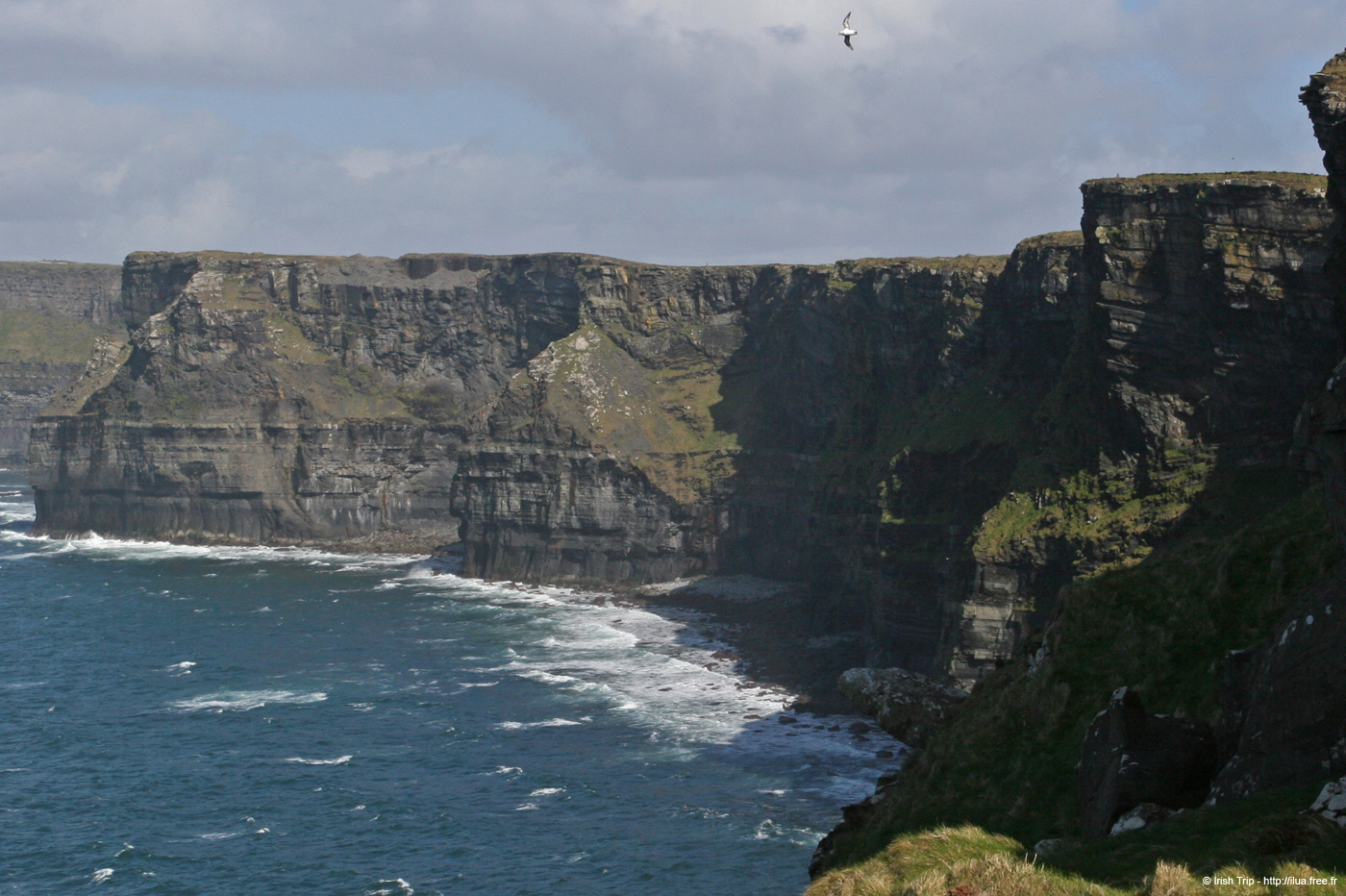 20060402_cliffsofmoher_65