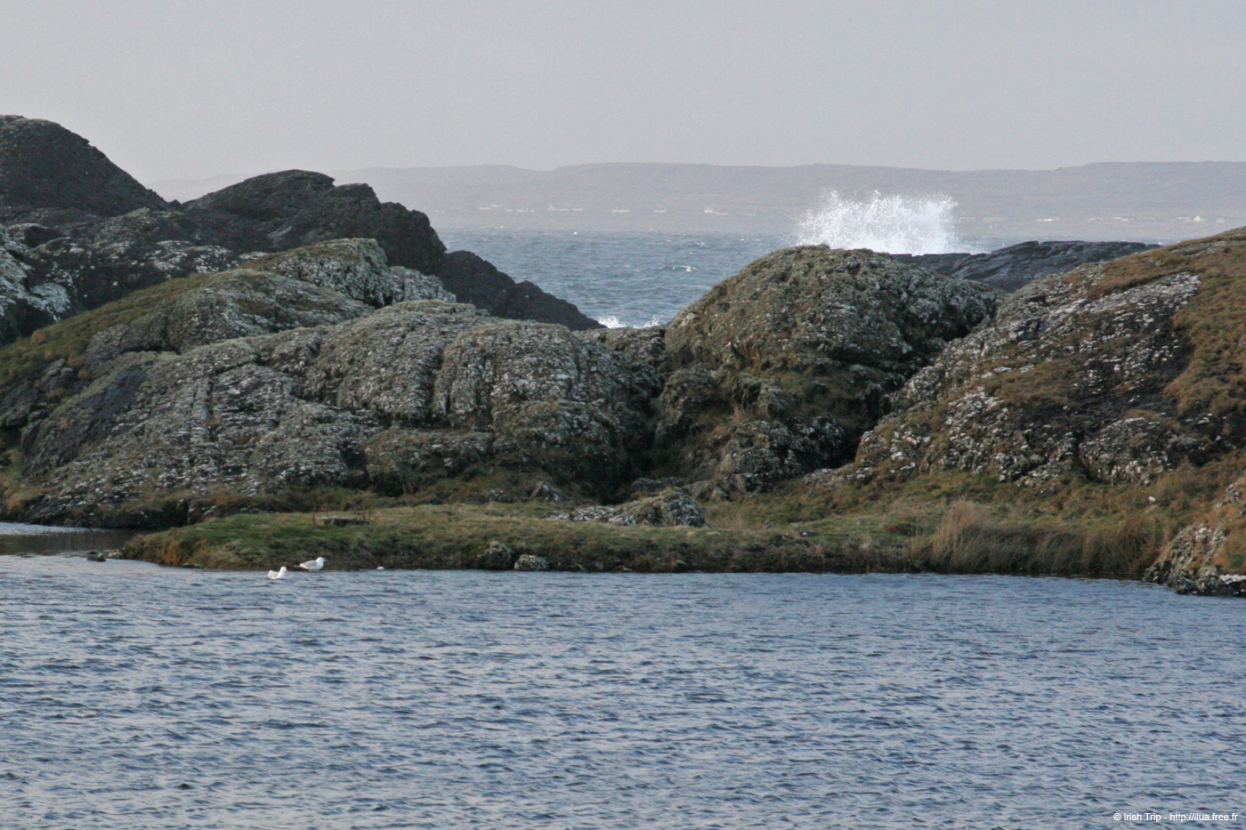 20060402_galway_gurumnaisland_1_golamhead_3