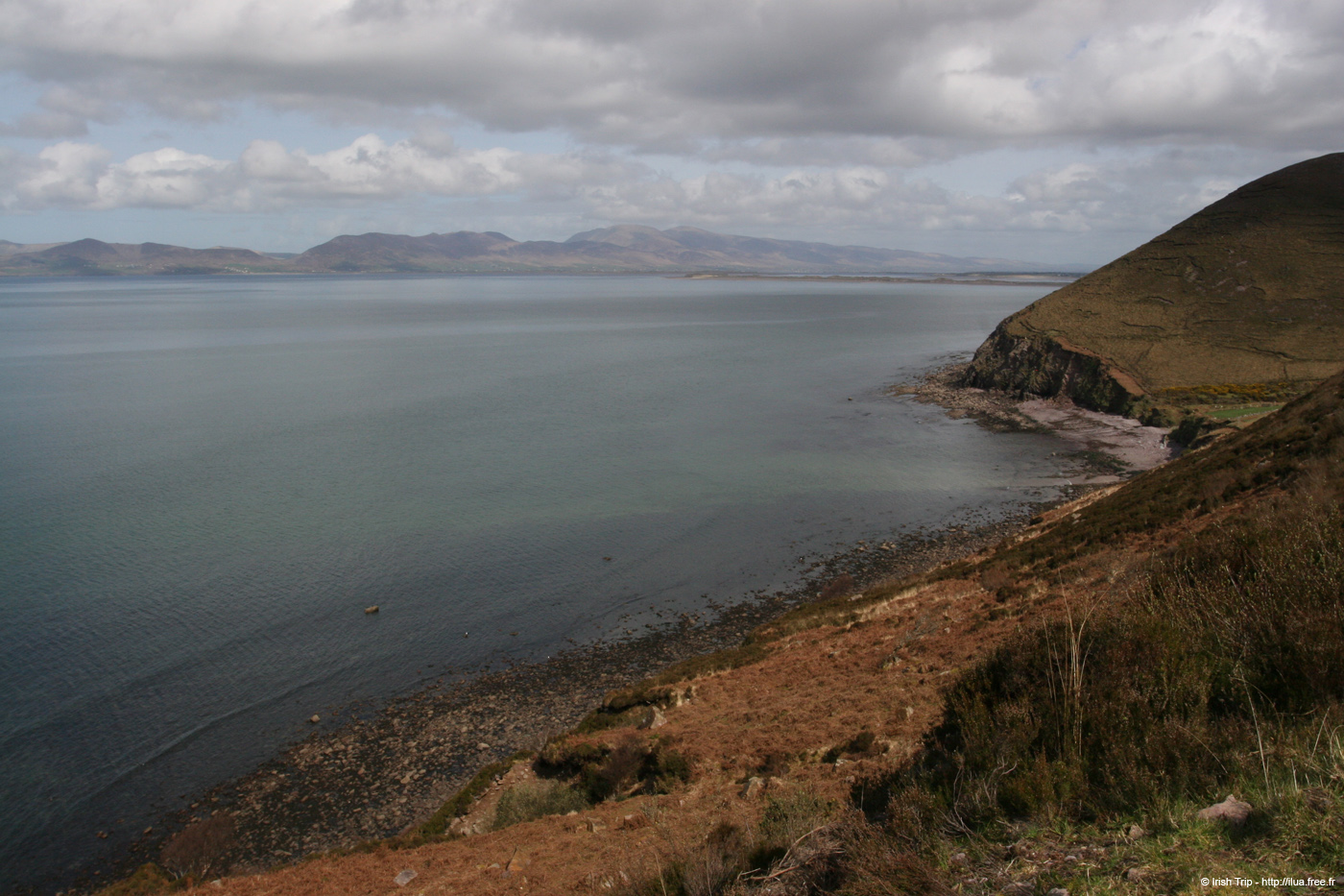 20060403_dinglebayeastfromringofkerry