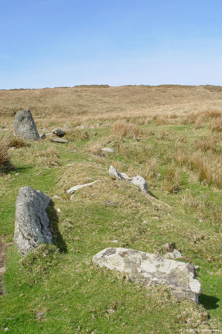 20060403_valenciaisland_brayhead_standingstones_1