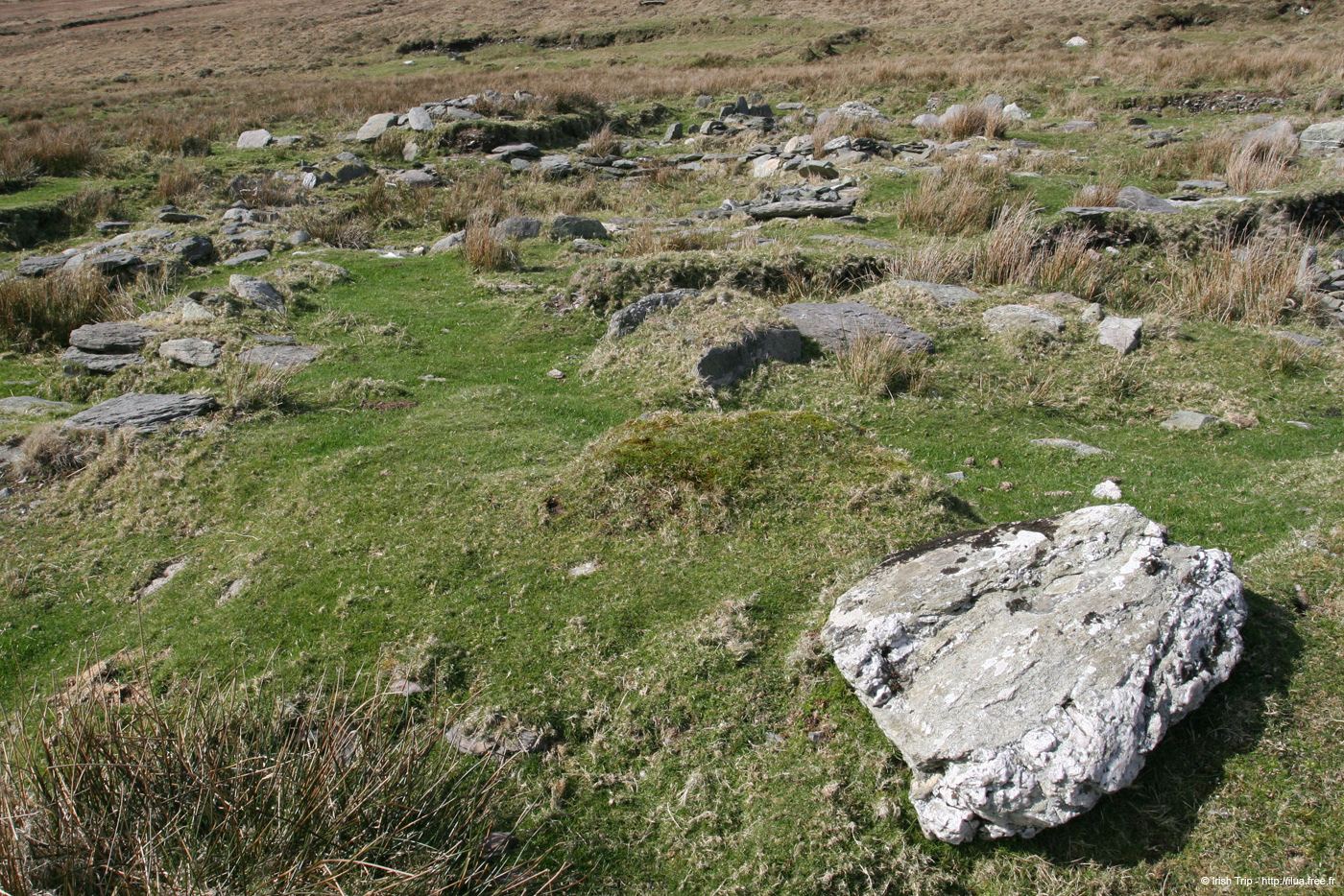 20060403_valenciaisland_brayhead_standingstones_2