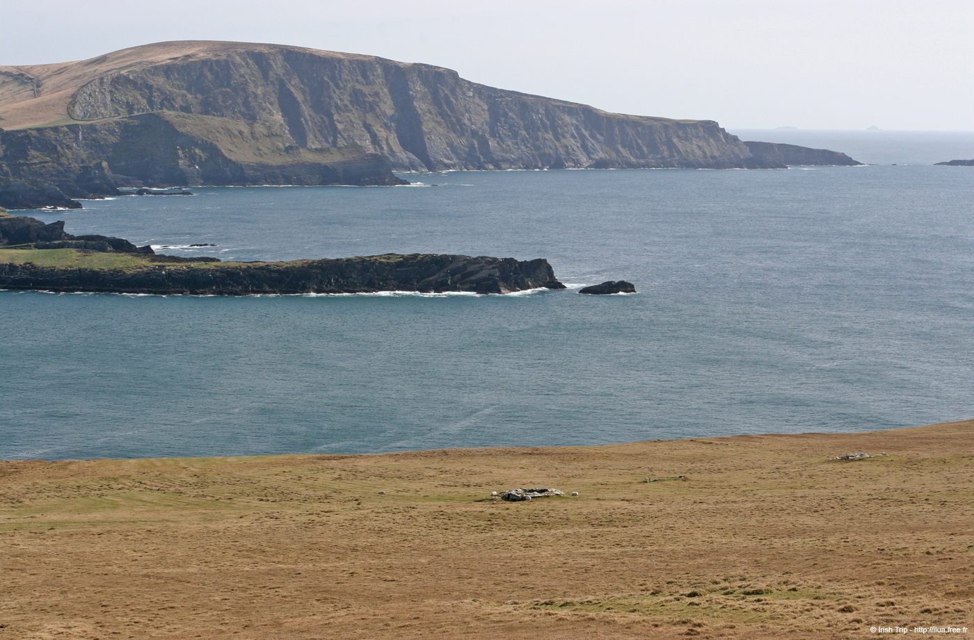 20060403_valenciaisland_dromgourfrombrayhead_1