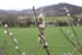 20060330_castlebar_windygap_03