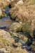 20060331_achillhead_15