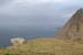 20060331_achillhead_32