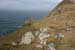 20060331_achillhead_33