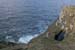 20060331_achillhead_37