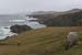 20060331_achillisland_southcoast_01