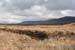 20060331_mayo_clagganmountains_1