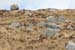 20060401_connemara_03