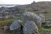 20060401_galway_gurumnaisland_2_golamhead_2