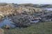 20060401_galway_gurumnaisland_2_golamhead_4